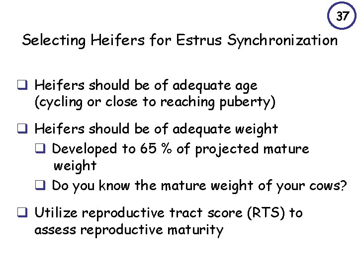 37 Selecting Heifers for Estrus Synchronization q Heifers should be of adequate age (cycling