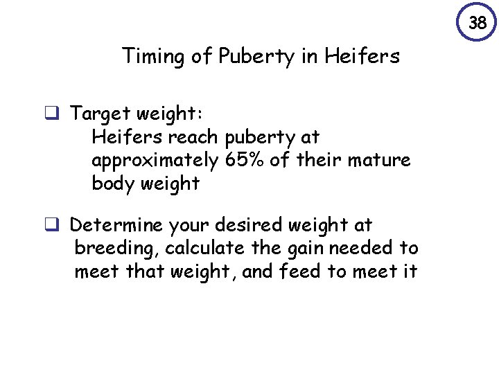 38 Timing of Puberty in Heifers q Target weight: Heifers reach puberty at approximately