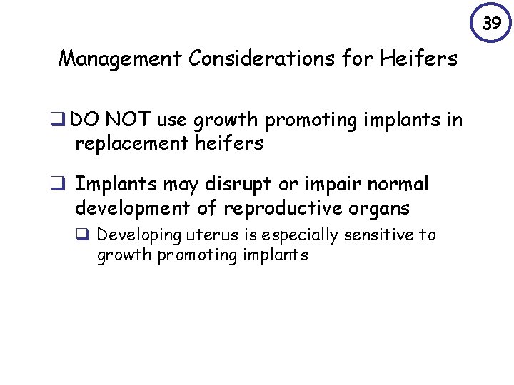 39 Management Considerations for Heifers q DO NOT use growth promoting implants in replacement