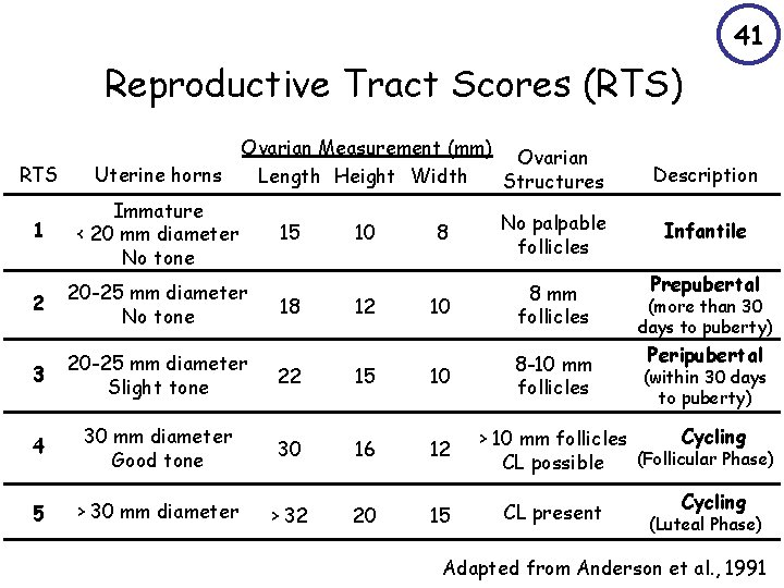 41 Reproductive Tract Scores (RTS) Ovarian Measurement (mm) Ovarian Length Height Width Structures RTS