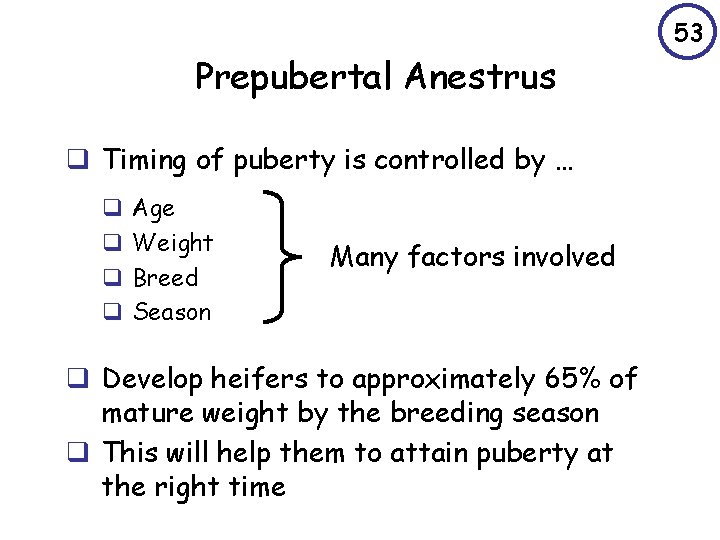 53 Prepubertal Anestrus q Timing of puberty is controlled by … q q Age