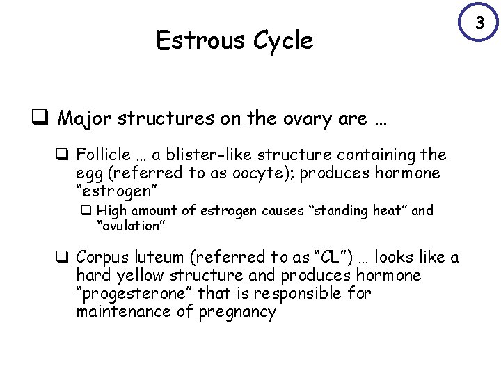 Estrous Cycle q Major structures on the ovary are … q Follicle … a