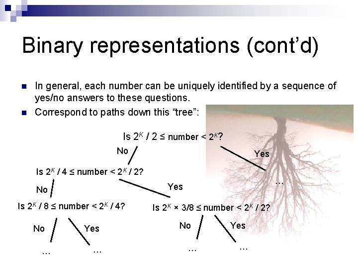 Binary representations (cont’d) n n In general, each number can be uniquely identified by