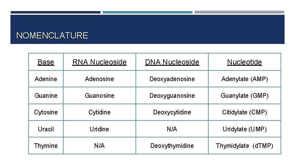NOMENCLATURE Base RNA Nucleoside DNA Nucleoside Nucleotide Adenine Adenosine Deoxyadenosine Adenylate (AMP) Guanine Guanosine