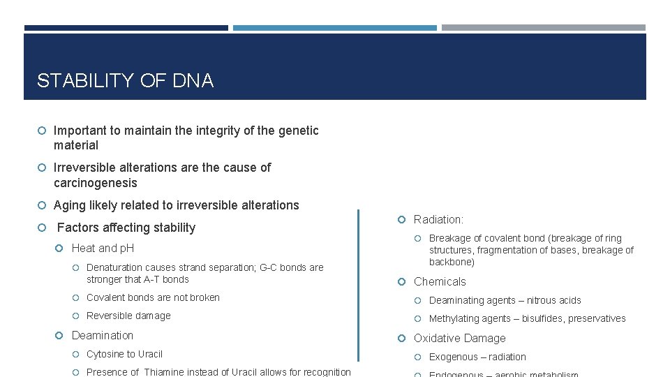 STABILITY OF DNA Important to maintain the integrity of the genetic material Irreversible alterations