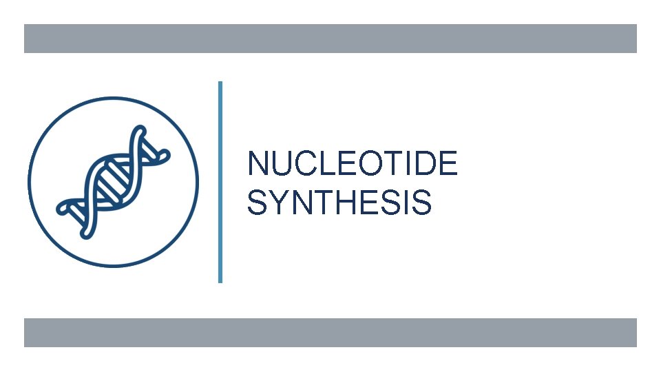 NUCLEOTIDE SYNTHESIS 