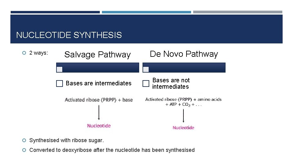 NUCLEOTIDE SYNTHESIS 2 ways: Salvage Pathway Bases are intermediates De Novo Pathway Bases are