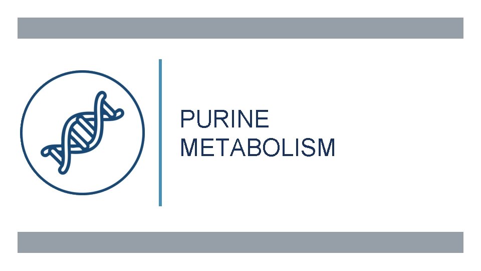 PURINE METABOLISM 