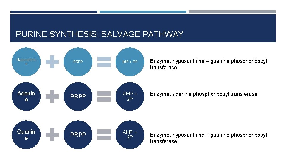 PURINE SYNTHESIS: SALVAGE PATHWAY Hypoxanthin e PRPP IMP + PP Adenin e PRPP AMP
