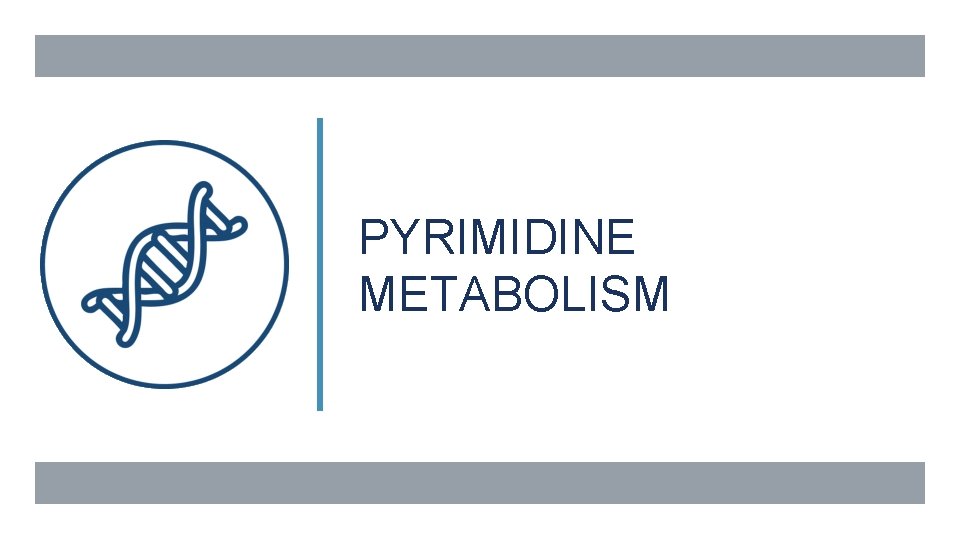 PYRIMIDINE METABOLISM 