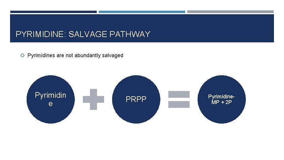 PYRIMIDINE: SALVAGE PATHWAY Pyrimidines are not abundantly salvaged Pyrimidin e PRPP Pyrimidine. MP +