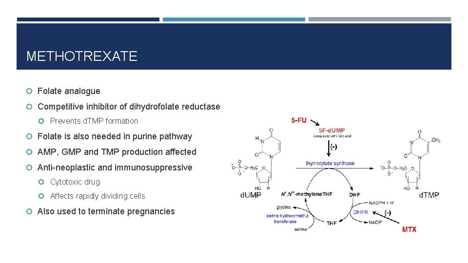 METHOTREXATE Folate analogue Competitive inhibitor of dihydrofolate reductase Prevents d. TMP formation Folate is