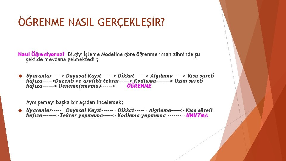 ÖĞRENME NASIL GERÇEKLEŞİR? Nasıl Öğreniyoruz? Bilgiyi İşleme Modeline göre öğrenme insan zihninde şu şekilde