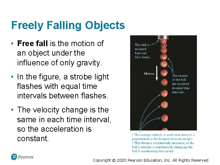 Freely Falling Objects • Free fall is the motion of an object under the