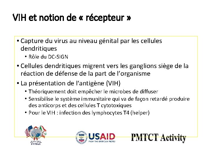 VIH et notion de « récepteur » • Capture du virus au niveau génital