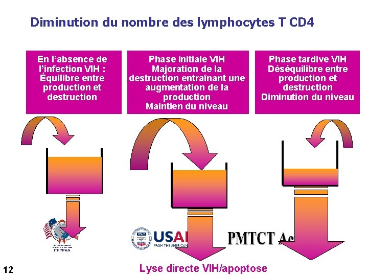 Diminution du nombre des lymphocytes T CD 4 En l’absence de l’infection VIH :