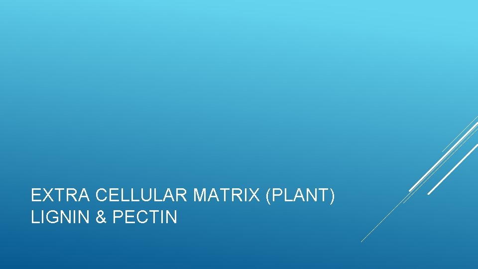 EXTRA CELLULAR MATRIX (PLANT) LIGNIN & PECTIN 