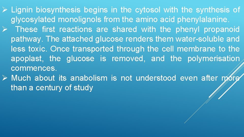 Ø Lignin biosynthesis begins in the cytosol with the synthesis of glycosylated monolignols from