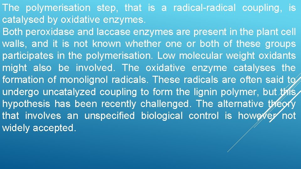 The polymerisation step, that is a radical-radical coupling, is catalysed by oxidative enzymes. Both