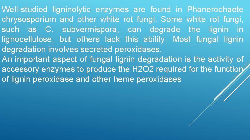 Well-studied ligninolytic enzymes are found in Phanerochaete chrysosporium and other white rot fungi. Some