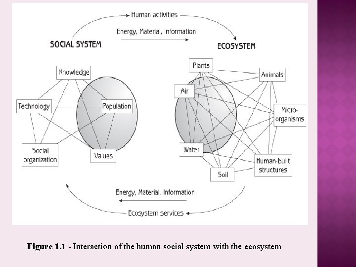 Figure 1. 1 - Interaction of the human social system with the ecosystem 
