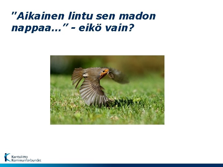 ”Aikainen lintu sen madon nappaa…” - eikö vain? 