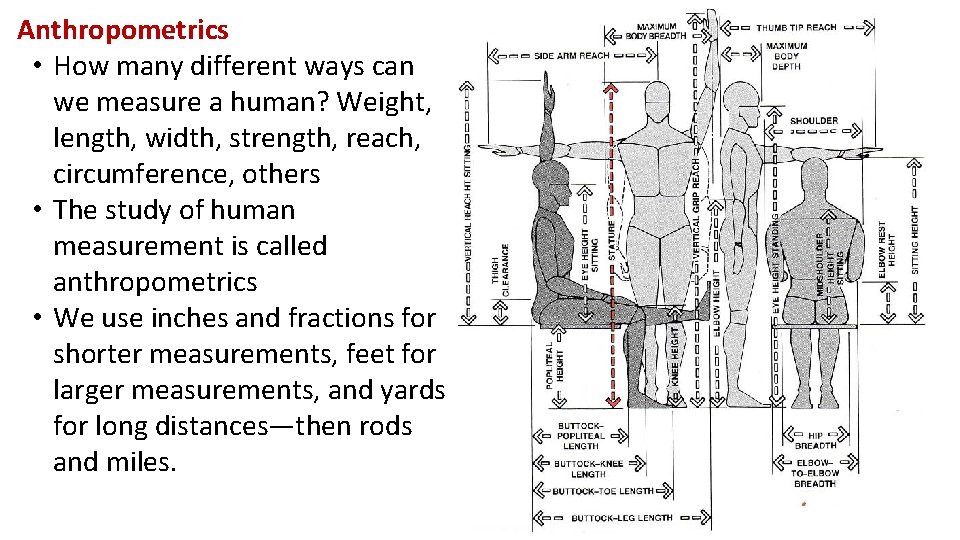 Anthropometrics • How many different ways can we measure a human? Weight, length, width,