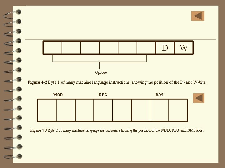 D W Opcode Figure 4 -2 Byte 1 of many machine language instructions, showing
