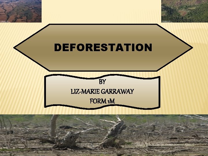 DEFORESTATION BY LIZ-MARIE GARRAWAY FORM 1 M 