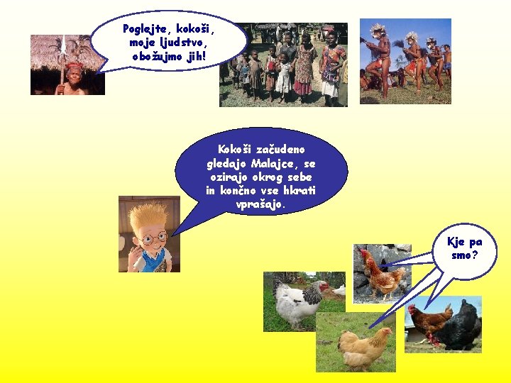 Poglejte, kokoši, moje ljudstvo, obožujmo jih! Kokoši začudeno gledajo Malajce, se ozirajo okrog sebe