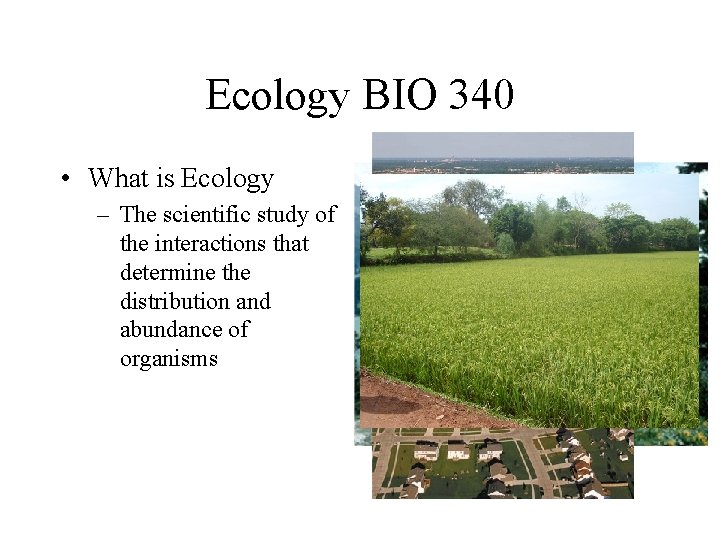Ecology BIO 340 • What is Ecology – The scientific study of the interactions