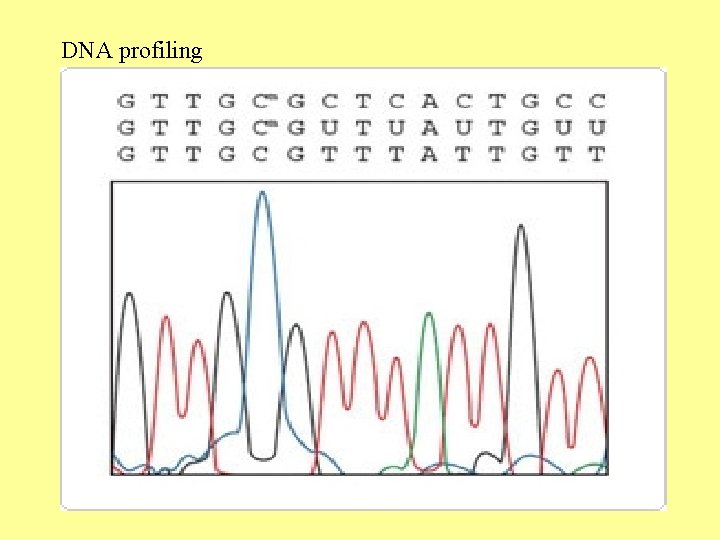 DNA profiling 