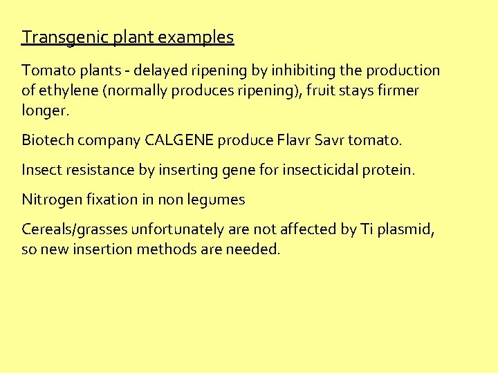 Transgenic plant examples Tomato plants - delayed ripening by inhibiting the production of ethylene