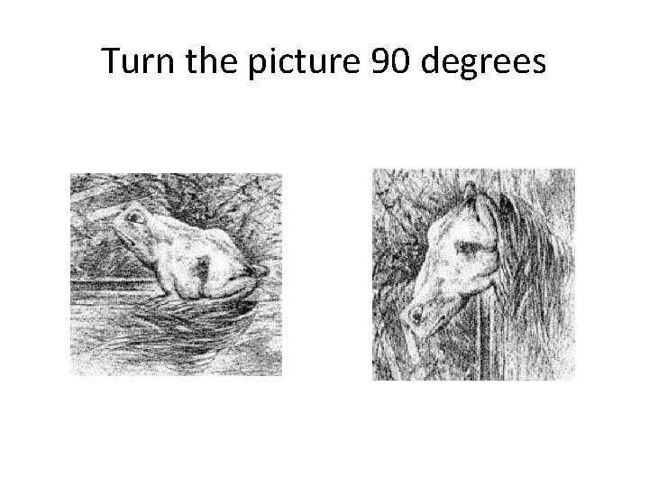 Turn the picture 90 degrees 