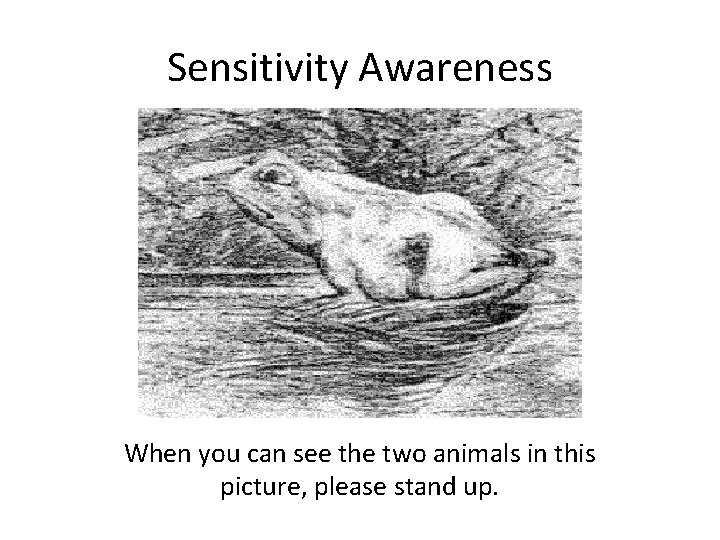 Sensitivity Awareness When you can see the two animals in this picture, please stand