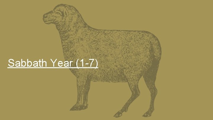 Sabbath Year (1 -7) 