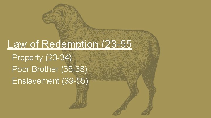 Law of Redemption (23 -55 Property (23 -34) Poor Brother (35 -38) Enslavement (39