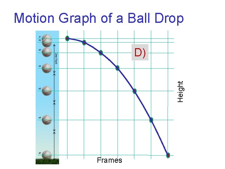 Motion Graph of a Ball Drop Height D) Frames 