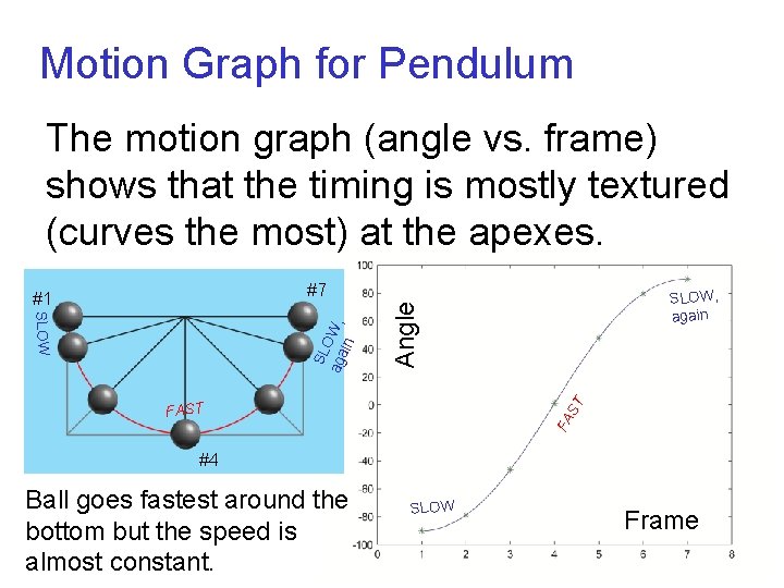 Motion Graph for Pendulum The motion graph (angle vs. frame) shows that the timing