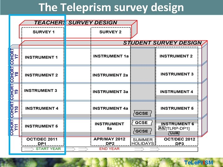 The Teleprism survey design Te. Le. Pri. SM 