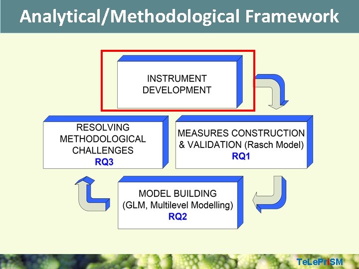 Analytical/Methodological Framework Te. Le. Pri. SM 
