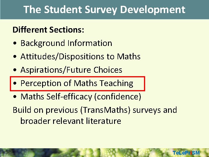 The Student Survey Development Different Sections: • Background Information • Attitudes/Dispositions to Maths •