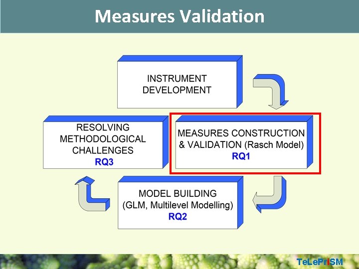 Measures Validation Te. Le. Pri. SM 