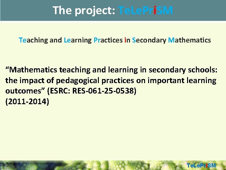 The project: Te. Le. Pri. SM Teaching and Learning Practices in Secondary Mathematics “Mathematics