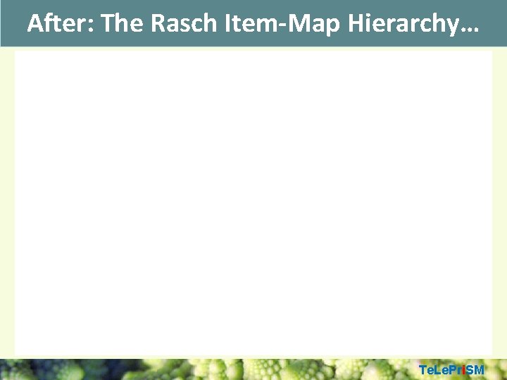 After: The Rasch Item-Map Hierarchy… Te. Le. Pri. SM 