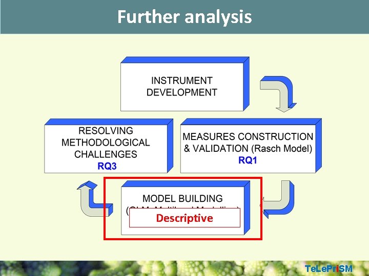 Further analysis Descriptive Te. Le. Pri. SM 