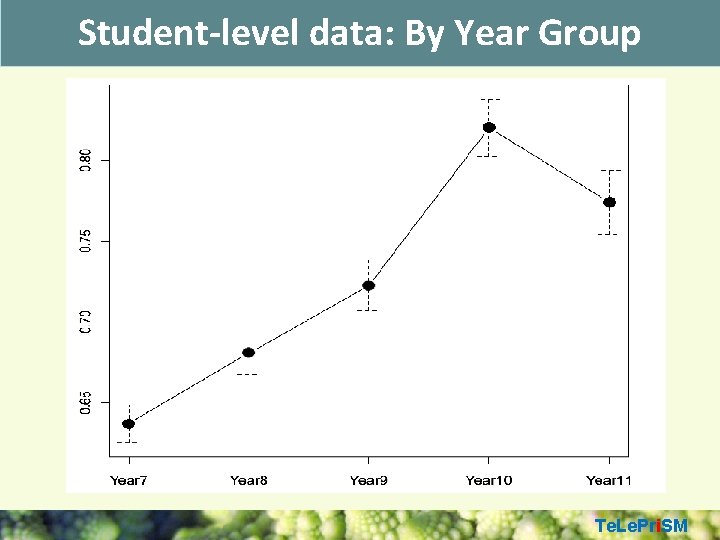 Student-level data: By Year Group Te. Le. Pri. SM 