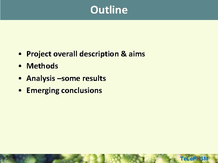 Outline • • Project overall description & aims Methods Analysis –some results Emerging conclusions