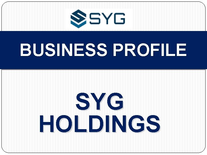 BUSINESS PROFILE SYG HOLDINGS 