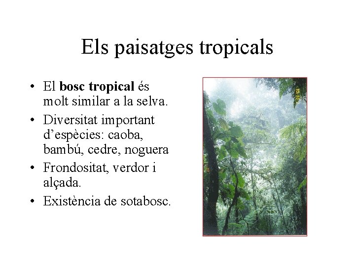 Els paisatges tropicals • El bosc tropical és molt similar a la selva. •